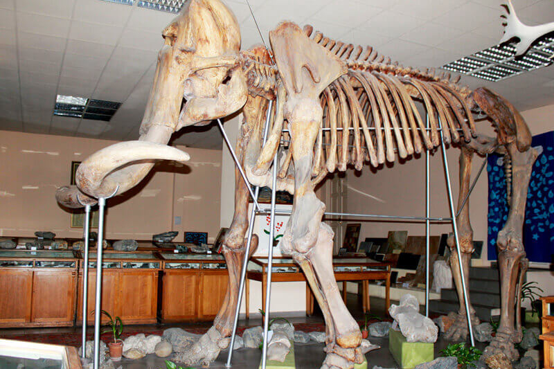 Geological museum