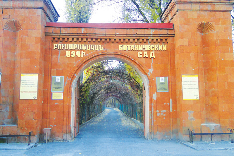 Botanical Garden 