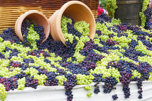 Festivals in Armenia